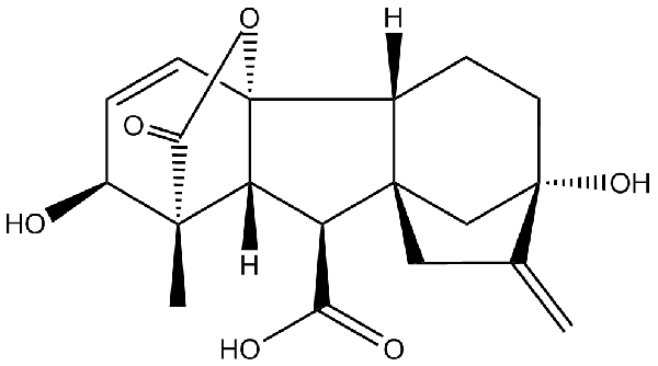 赤霉素GIBBERELLIC ACID，居然有這么神奇？